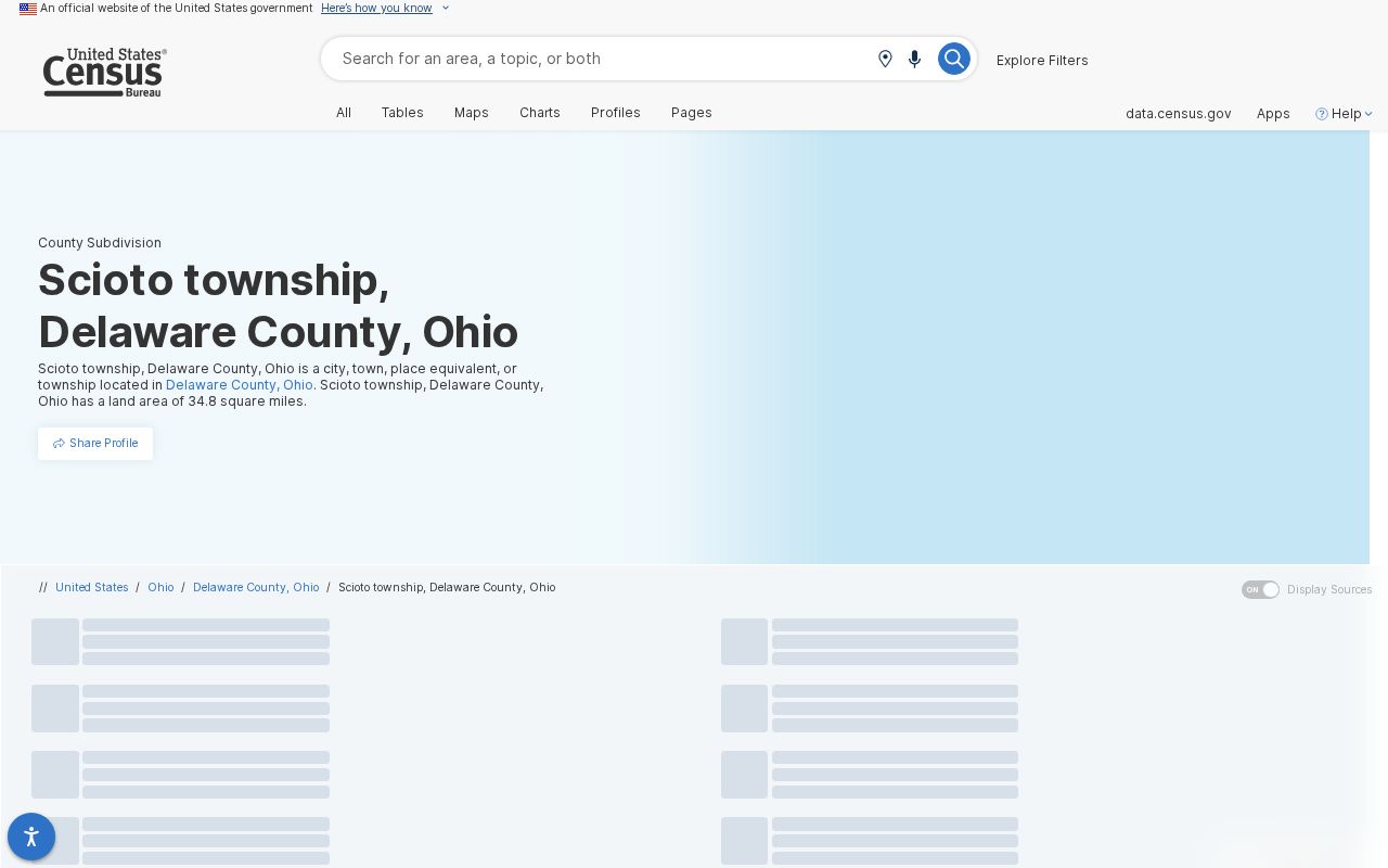Scioto Township ZIP code Census geography profile